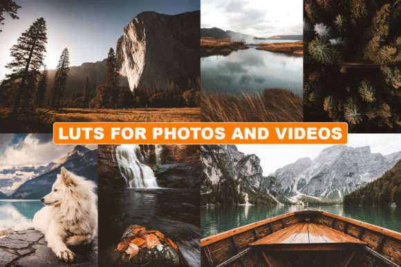 Download Cinematic LUTs for Photos and Videos - Photo Collection