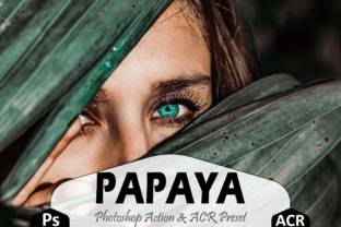 Download Papaya Photoshop Actions and ACR Presets - Photo Collection