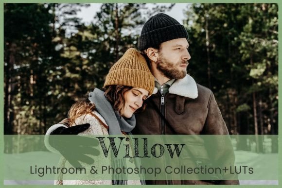 Download 8 Willow Photoshop Actions Winter Warm - Photo Collection