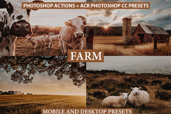 Download Photoshop Actions, ACR Presets, Lrpreset - Photo Collection