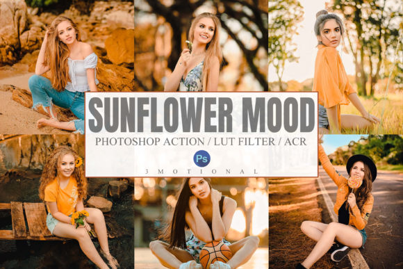 Download Sunflower Mood Photoshop Actions, LUT - Photo Collection
