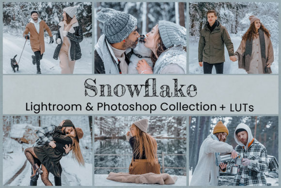 Download Snowflake Lightroom Preset Photoshop LUT - Photo Collection