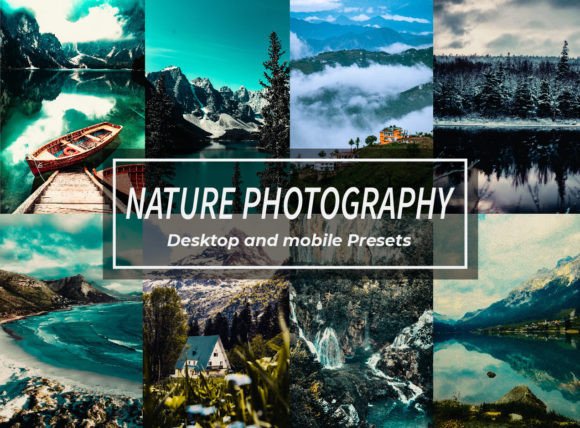 Download Nature Photography Lightroom Presets - Photo Collection